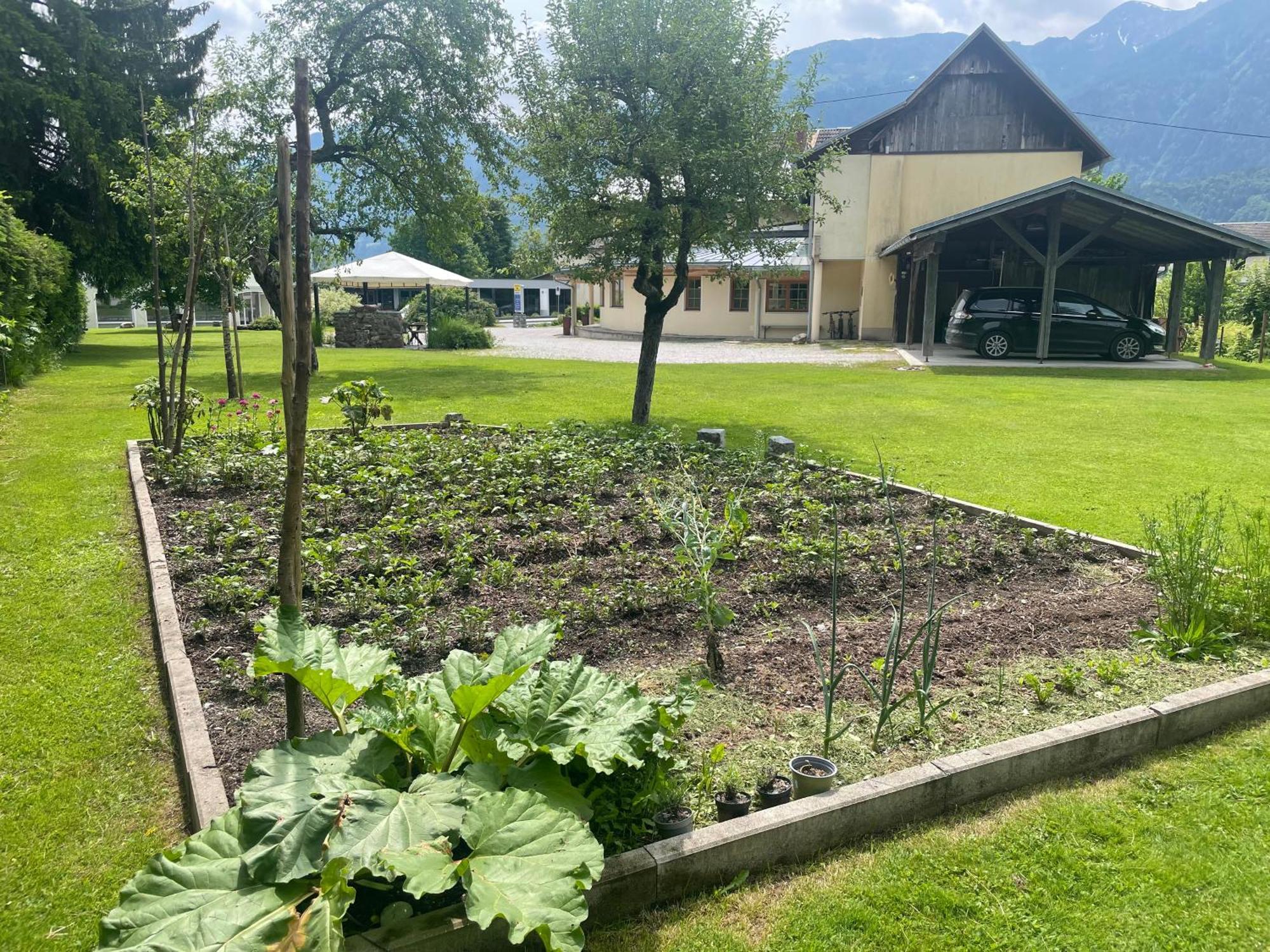 Pension Lipicer Kotschach-Mauthen Extérieur photo